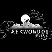 Taekwondo Icon